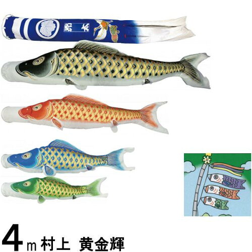 https://thumbnail.image.rakuten.co.jp/@0_mall/suiho/cabinet/koi/koi_mk/r_main/r265057137.jpg?_ex=500x500