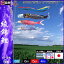 鯉のぼり 錦鯉 ノーマル 綾錦鯉 6m3匹 五色吹流し 139600271