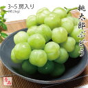 岡山県特産 桃太郎ぶどう 秀品 3〜5房 約2kg 専用化粧箱入り お中元 プレゼント ギフト 7月中旬頃より発送