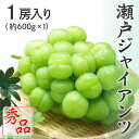 送料無料 ぶどう 葡萄 岡山県特産 瀬戸ジャイアンツ 秀品 大房1房 約600g 化粧箱入り 9月上旬頃より発送