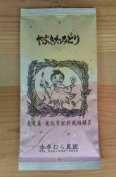 無農薬茶『やぶきたみどり』100g★値段に納得の美味しさ☆【無添加】【静岡産】☆【通販】☆2012年産100％☆【2sp_120810_ blue】