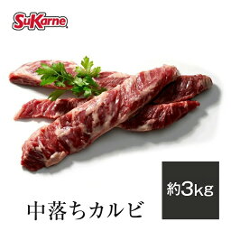 【送料無料】冷凍中落ちカルビ 約2.6～3kg リブフィンガー カルビ 塊肉 グレインフェッドビーフ 穀物肥育 焼き肉 サイコロ<strong>ステーキ</strong> バーベキュー <strong>ステーキ</strong> BBQ 牛肉 中落ち 牛肉 お肉 贈り物 お祝い 牛肉 お取り寄せグルメ