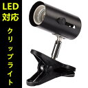 クリップライト led クリップスタンド クリップ式LEDライト おしゃれ コンセント 口金E11ハロゲン電球付 デスクライト スポットライト 展示照明 インテリアライト