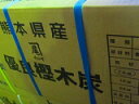 熊本黒炭 切炭10kg ×2ケース 20kg 揃い切り2箱セット売り