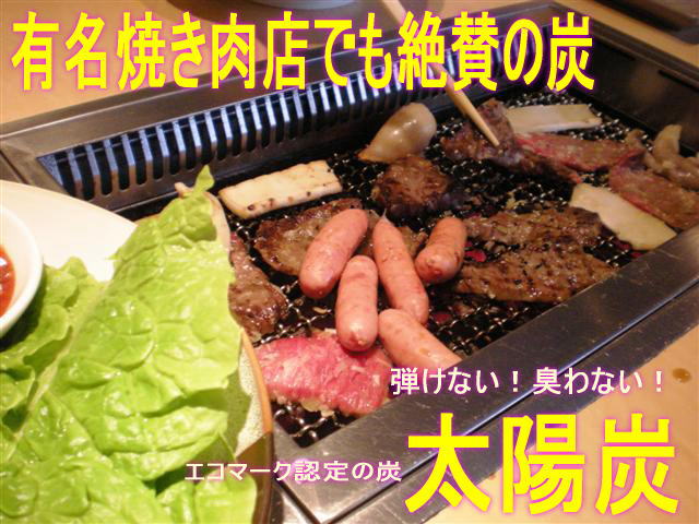 【送料無料】【FS_708-7】【RT】エコマーク認定の太陽炭10kg 【焼肉のたれ対象】