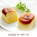 ホワイトデー お返し 個包装 送料無料 送料込 配送日指定可 とろけるチーズケーキ 15個入 ギフト スイーツ プチチョコレートケーキ 詰め合わせ お取り寄せ お菓子 洋菓子 包装紙 熨斗 内祝い 誕生日 バースデー