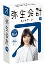 弥生会計19ネットワーク 3ライセンス for SQL
