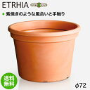 Euro 3 Plast Etrhia Cillindro ユーロスリープラスト エトリア プランター シリンドロ72 ER-2164