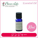 フレーバーライフ Flavor Life エッセンシャルオイル ジンジャー 10ml 00020