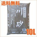 鹿沼興産 川砂 10L 4941518006367【あす楽対応】 送料無料