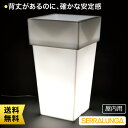 Serralunga Torre Light セラルンガ プランター トーレ・ライト付き 屋内用 SL-740L-A