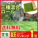 三種混合ロール巻芝 10P24Jun131年中美しい常緑芝を楽しめる3種個混合の西洋芝です。