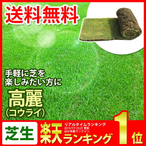 芝生 高麗（コウライ） ロール巻芝 送料無料 （芝 通販）...:sun-wa:10005521