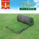 野芝(ノシバ) ロール巻【レビューで豪華景品!ポイント2倍!】 送料無料 芝生 通販