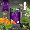 『ブルーベリー葉のめぐみ』【約30日分】ルテインプラスチュアブルタイプ宮崎県・宮崎大学共同開発の宮崎産ブルーベリー葉エキス配合ゆうパケット対応・代引き不可(※代引きはゆうパケット対象外)<出荷目安:1〜2週間程度>