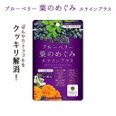 【ポイント10倍】『ブルーベリー葉のめぐみ』 ルテインプラスチュアブルタイプ 宮崎産ブルーベリー葉エキス配合 ゆうパケット対応・代引き不可 (※代引きはゆうパケット対象外) 【出荷目安:1〜2週間程度】