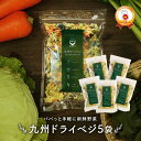 送料無料 国産 乾燥野菜 ミックス 九州ドライベジ 100g×5袋セット(お湯で戻して約2500g) ゆうパケット(ポスト投函)・代引不可【出荷目安:5月上旬~中旬頃△▼】