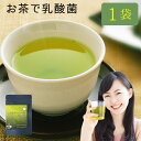 『まるごと食べ茶と乳酸菌の粉末茶』45g×1袋農薬不使用・有機栽培の粉末茶にナノ型乳酸菌をプラス(※代引きはゆうパケット対象外)【出荷目安:ご注文後1〜2週間】