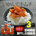 『いかんてキムチ』110g×3袋セット【宮崎産】割干し大根使...