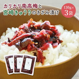 カリカリ南高梅ときゅうりのきざみ漬け 130g×3袋セット 梅 ごはんのお供 漬け物 お茶漬け 国産 宮崎県産 きゅうり 梅きゅうり カリカリ 梅 きゅうり お茶請け 南高梅 メール便 送料無料 おためし 小分け【出荷目安：ご注文後5日～7日】