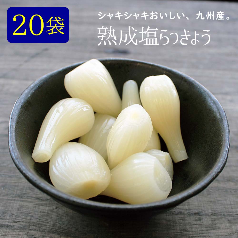 『塩らっきょう』20袋セット国産（宮崎県産）【宅配便・常温・送料無料】日時指定/代引利用可＜出荷目安：1〜2週間程度＞※粒サイズは不揃いです