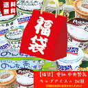 【いいものたくさん】福袋 中央製乳 カップアイス 24個（95ml×24個）アイス アイスクリーム スイーツ デザート 送料無料 詰め合わせ 人気 楽天スーパーSALE