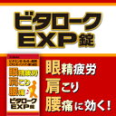 【第3類医薬品】ビタロークEXP 240錠