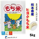 佐賀県産 ヒヨクもち米 平成30年産 精白米 5kg