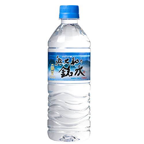 永伸商事 奥大和の銘水 540mlペットボトル×24本入