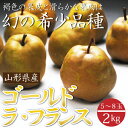 幻の黄金洋梨!ゴールドラフランス2kg前後秀品(5〜8玉)【送料無料】洋梨、梨、なし、ラフランス、山形産 、【RCP】 ランキングお取り寄せ