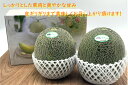 岡山県産 シャインマスカット(晴王)500g 1房 化粧箱入り