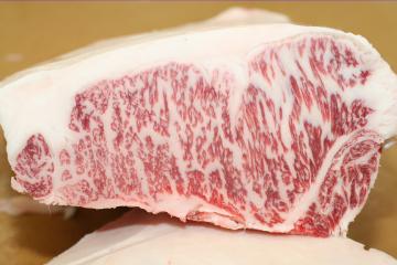 ơβ͡ǽеۥơ400g(1 200gå2)0309PUP10M