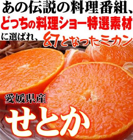 稀少なミカン！限定販売！！【送料無料】愛媛の【幻のみかん・せとか】約4