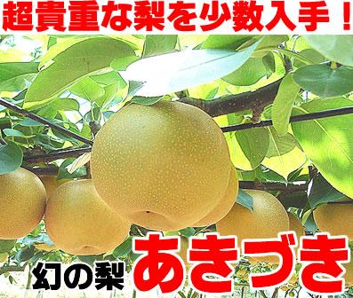 梨の名産地・千葉の貴重な梨【あきづき】【送料無料】生産量が少ない為、まだほとんど市場には出回らず、一部の市場関係者からは【幻の梨】と噂されているとか・・