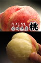美味しさ入魂！ハズレなし！！さぁ、思いっきりかぶりついちゃって下さい！おいしさの秘密は木にあり！ハズレなしの香川の完熟☆桃（約2kg）送料無料！果汁したたる極旨桃♪