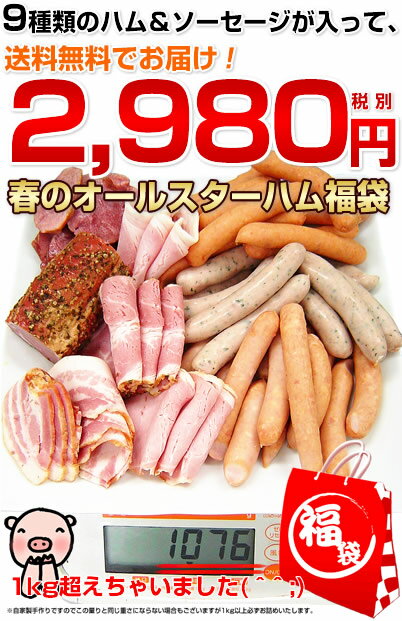 37％OFF！9種のハム＆ソーセージ等食べ比べ！！4000セット突破！！お花見に♪☆春のオールスター☆1kg保証ハム福袋≪送料無料≫【スポーツ0903】【千葉県産】