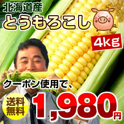 クーポンで1980円 とうもろこし/サンライズコーン/約4kg（11〜15本）/北海道産/スイートコーン/トウモロコシとうもろこし/サンライズコーン/約4kg（11〜15本）/北海道産/スイートコーン/トウモロコシ/