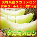 メロン 訳あり 送料無料 ふぞろいのタカミメロン約5kg (3玉?6玉・玉数は選べません)茨城県産 果物 フルーツ