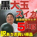 青森県産・黒大玉すいか（タヒチスイカ）1玉【送料無料】訳ありにつき大特価！