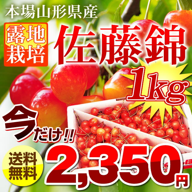 クーポン利用で2,350円★さくらんぼ 佐藤錦 1kg 送料無料 山形県産バラ詰め1kg 【訳あり】