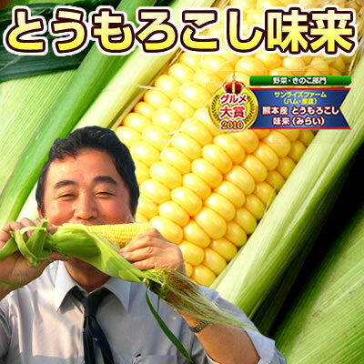 生でも食べられる♪千葉産とうもろこし味来（みらい）約5kg（11〜17本）皮の薄さと甘さを極めたミライ・朝採り新鮮直送！♪とても甘いスイートコーン※着日指定不可(7/12・9時59分迄ポイント10倍）フルーツのような極甘トウモロコシ10万箱突破！リピーター続出！完熟もぎたて自慢の甘さ♪