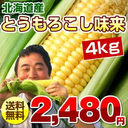 北海道産とうもろこし味来（みらい）送料無料！太陽の光をたっぷり浴びた露地栽培たっぷり約4kg（11本〜15本）【送料無料】皮の薄さと甘さを極めたミライ・朝採り新鮮直送！♪とても甘いスイートコーン※着日指定不可（8月末〜発送開始））【お盆セール】