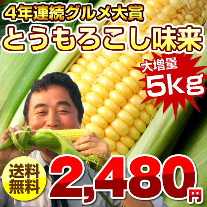 とうもろこし/味来/みらい/千葉県産/5kg/4年連続楽天グルメ大賞受賞/【送料無料】/トウモロコシ/