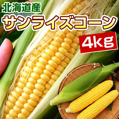 とうもろこし/サンライズコーン/4kg/北海道産/スイートコーン/【送料無料】トウモロコシ/【お盆セール】