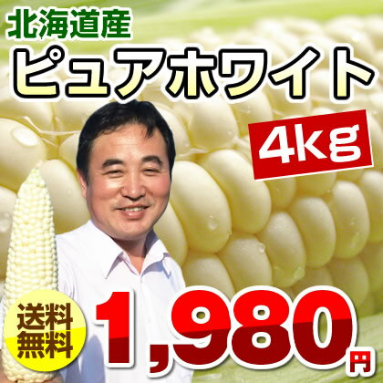 とうもろこし/ピュアホワイト/約4kg/北海道産/スイートコーン//トウモロコシ/とうもろこし/ピュアホワイト/約4kg/北海道産/スイートコーン//トウモロコシ/