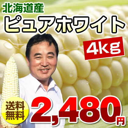 とうもろこし/ピュアホワイト/約4kg/北海道産/スイートコーン/【送料無料】/トウモロコシ/とうもろこし/ピュアホワイト/約4kg/北海道産/スイートコーン/【送料無料】/トウモロコシ/