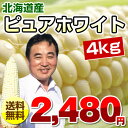 とうもろこし/ピュアホワイト/約4kg/北海道産/スイートコーン/【送料無料】/トウモロコシ/