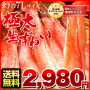 カニ 蟹 ズワイガニ ポーション超特大・7L生ずわいかに500gカニ 蟹 ズワイガニ ポーション 巨大ずわいがに　