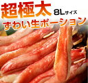 驚愕のデカさ！超極太生ずわいがにポーション（8Lサイズ）！カニしゃぶ・かにステーキ・蟹鍋パーティーに♪♪新鮮＆極旨★とろ〜り甘い♪