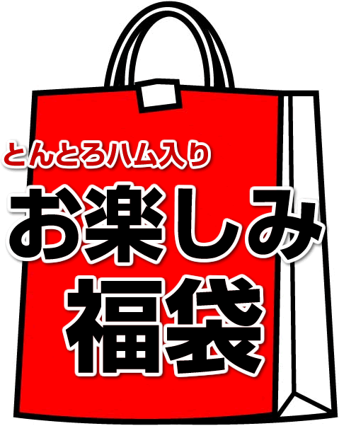 【楽天うまいもの大会出店記念セール】とんとろハム入り！お楽しみ福袋☆限定100セット！2,000円ポッキリ超特価！